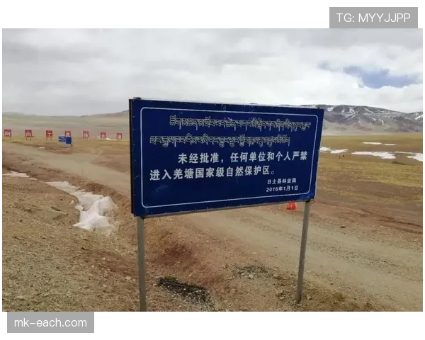 禁区线上的球员算不算禁区内?规则细节全解析 禁区线上的球员算不算禁区内?规则细节全解析